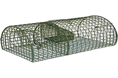 Kerbl 299620 Ratten Massenfänger Multirat, halbrund, Länge 40 cm von cit