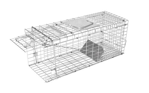 Kerbl 299677 Kastenfalle klappbar mit 1 Eingang 66 x 17 x 20 cm von Kerbl