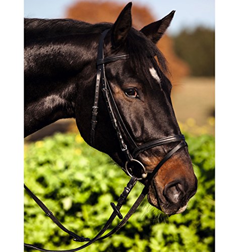 Kerbl 32172 Trensen-Zaum Standard Leder für Warmblut, schwarz von Kerbl