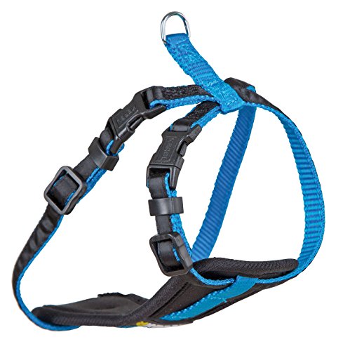 Kerbl Pet 81064 Geschirr für kleine Hunde, XS, neon blau von Kerbl Pet