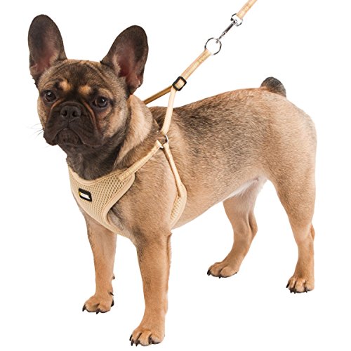 Kerbl Pet 81086 Welpengeschirr mit Leine, beige, 24-44 cm/10 mm von Kerbl Pet