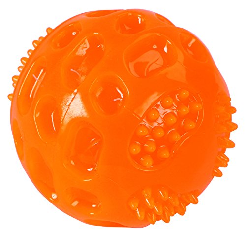 Kerbl Pet 81484 Ball ToyFastic, Squeaky, Diameter 7.5 cm, orange von Kerbl Pet