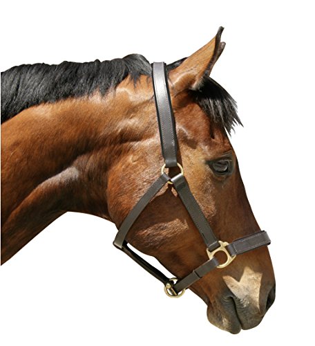 Kerbl Halfter Eco Pony, Leder Braun, 32265 von Covalliero