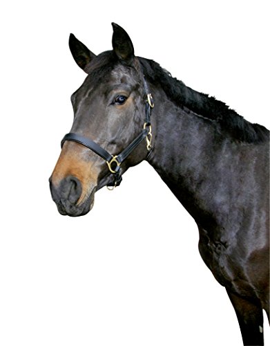 Kerbl Halfter Eco Pony, Leder Schwarz, 32255 von Covalliero