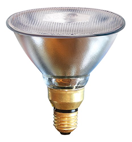 Kerbl Infrarotlampe Par38 Sparlampe Infrarot Stalllampe Wärmelampe weiß 175W von Kerbl