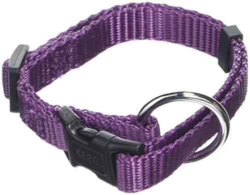 Kerbl Pet Miami Halsband, lila, 15 mm, verstellbar 30-45 cm von Kerbl Pet