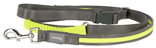 Kerbl Pet Light und Reflex Jogging und Führleine 25mm x 250cm, gelb von Kerbl Pet