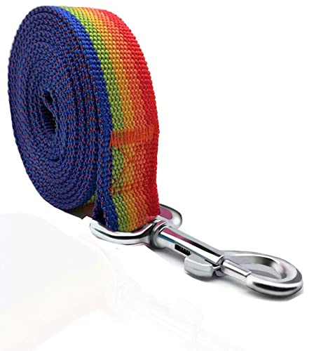 TAIAN Starke Hundeleine, Nylon-Hundeleine für kleine, mittelgroße und große Hunde (2,5 cm x 1,5 m, Regenbogen) von Keyoung