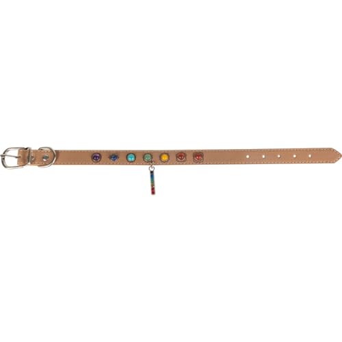 Kheops International Hundehalsband aus veganem Leder mit 7 Chakren, 43,2 cm, Größe M, Geschenke, Haustierzubehör von Kheops International