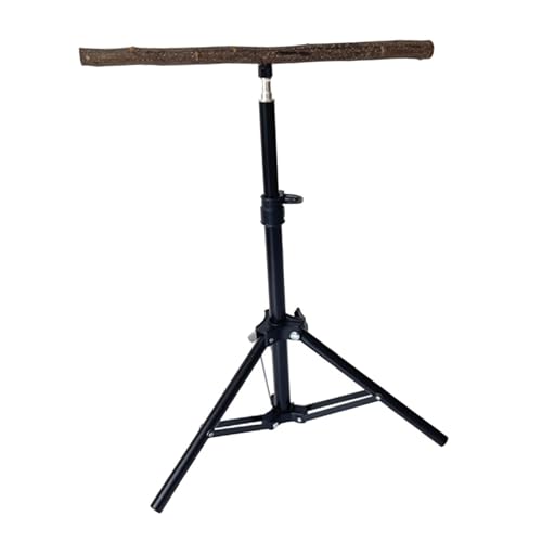 KiBcsLic Papageienstange Aus Holz, Höhenverstellbar, Stativ für Sittiche, Finken, Sittiche KiBcsLic Papageienstange Aus Holz, Höhenverstellbar, Stativ für Sittiche, Finken, Sittiche von KiBcsLic