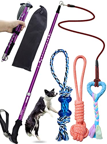 Kidpet Dog Flirt Pole Heavy Duty Flirt Pole for Dogs von Kidpet