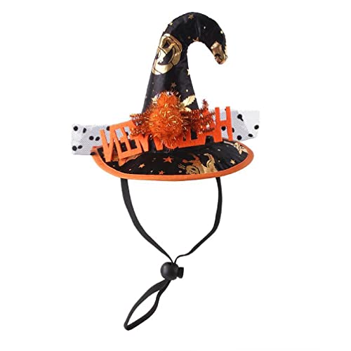 Katze Kürbisse Katze Hexenhut Lustiger Für Katze Hund Lustiger Halloween Katzenkostüm Katze Halloween Haustier Foto Requisite Halloween Katzenkostüme von KieTeiiK