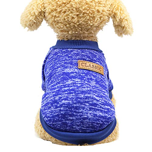 Kielsjajd Hochwertige Hundepullover Warmer Teddypullover Welpenkleidung Katzenwollkampf Zweibeiniger Hund Haustier Haustierkleidung Hundepullover Blau (Blue, XXL) von Kielsjajd