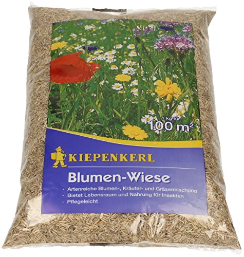 Blumen-Wiese 1Kg von Kiepenkerl