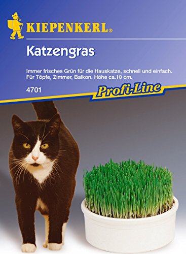 Katzengras von Kiepenkerl