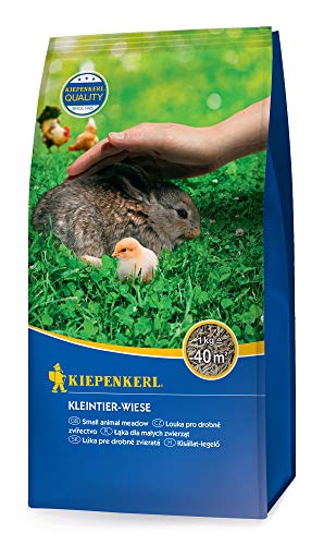 Kiepenkerl 651609 Kleintier-Wiese 1 kg (Rasensamen) von Kiepenkerl