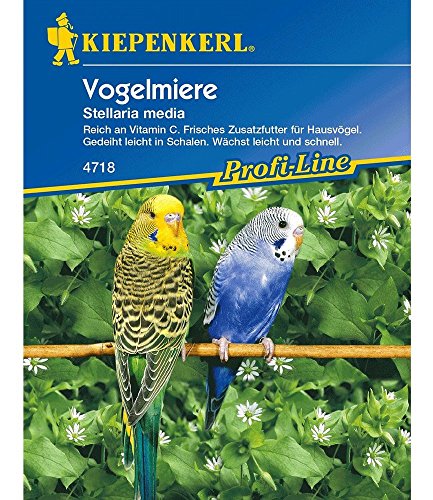 Kiepenkerl Vogelmiere,1 Portion von Kiepenkerl