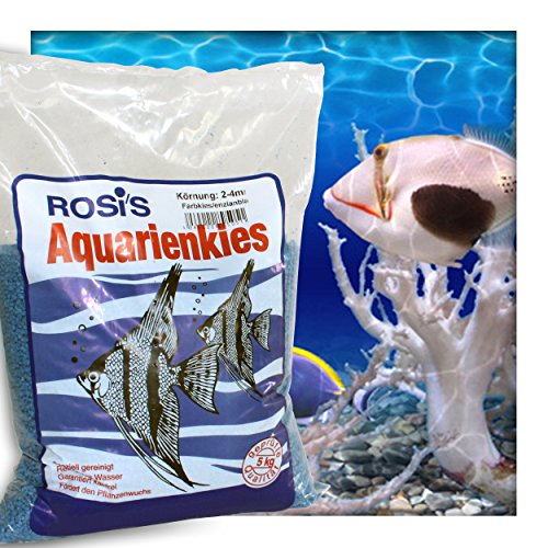 Farbkies Blau Aquarium Deko Kies Aquariengrund Aquariumkies Bodengrund Körnung 2-4 mm 10 kg (2X 5 kg Beutel) von Kieskönig