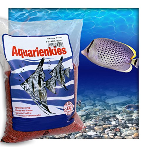 Farbkies Feuerrot Aquarium Deko Kies Aquariengrund Aquariumkies Bodengrund Körnung 2-4 mm 10 kg (2X 5 kg Beutel) von Kieskönig