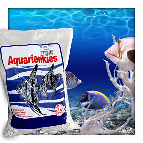 Kieskönig Aquarienkies Aquariumsand Bodengrund 3-5 mm Aquariensand hochrein Naturweis 15 kg (3 x 5 kg Sack) von Kieskönig