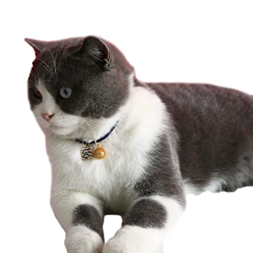 Kigauru Haustier-Bogen-Kragen Pet Cat Collar Dress-up Feine Verarbeitung Pet Cat Puppy Halskette Pet Zubehör Rot XS (Color : Blue, Size : S) von Kigauru