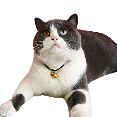 Kigauru Haustier-Bogen-Kragen Pet Cat Collar Dress-up Feine Verarbeitung Pet Cat Puppy Halskette Pet Zubehör Rot XS (Color : Green, Size : S) von Kigauru