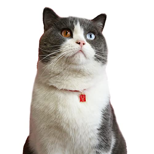 Kigauru Haustier-Bogen-Kragen Pet Cat Collar Dress-up Feine Verarbeitung Pet Cat Puppy Halskette Pet Zubehör Rot XS (Color : Red, Size : XS) von Kigauru
