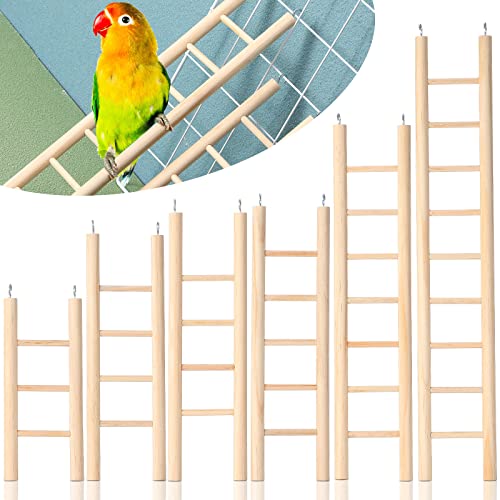 6 Stück Stufen-Holzleiter für Vogel, 6 Größen, Vogelspielzeug, Holzleiter, hängende Vogelleiter, Papageien, Stufenleitern, Käfig, hängende Vogelkletterspielzeug für Sittiche, Kakadu und Lovebirds von Kigeli