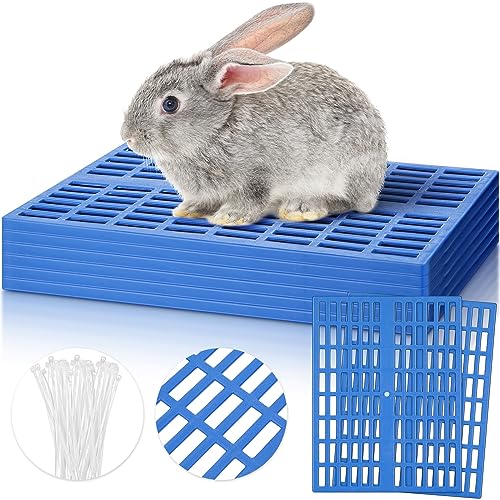 Kigley 6 Stück Kunststoff Kaninchenkäfig Matte Kaninchen Bodenmatte Fußauflage Pads für Kleintiere Ratten Hamster Meerschweinchen Chinchilla, Matten Füße Pads für Hasen Hunde Katzen Haustier, 33 x von Kigley