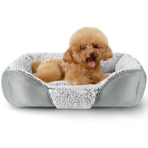 Kimpets Hundebett für kleine, mittelgroße Hunde, rechteckig, waschbar, schlafendes Welpenbett, orthopädisches Haustiersofa, weich, beruhigend, Katzenbetten, Indoor-Katzen, rutschfeste Unterseite in von Kimpets