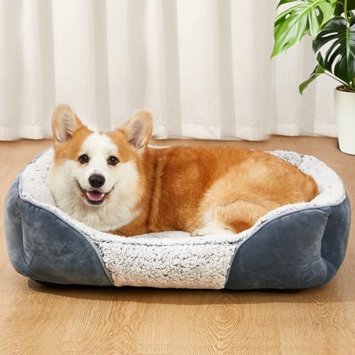 Kimpets Hundebett für kleine, mittelgroße Hunde, rechteckig, waschbar, schlafendes Welpenbett, orthopädisches Haustiersofa, weich, beruhigend, Katzenbetten, Indoor-Katzen, rutschfeste Unterseite in von Kimpets