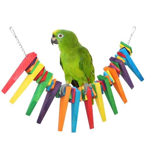 Bird Toys Chewing Toy for Large Medium Parrot Cage Bite Toys Swing Ladder African Grey Aras Kakadus Eclectus Amazon (Halskette) von KinTor