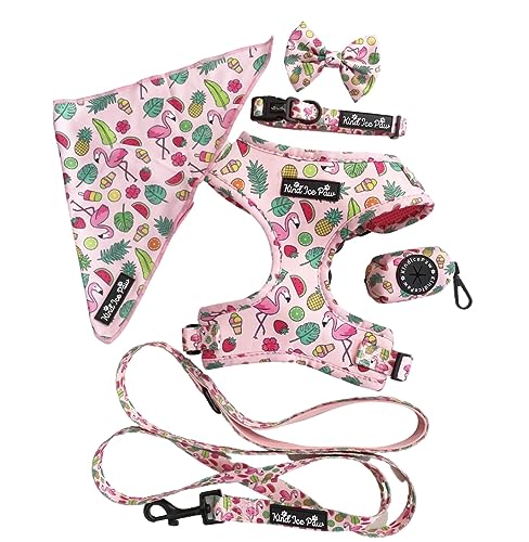 Hundegeschirr, Leine, Halsband, Fliege, Kotbeutelhalter und Bandana Kind'Ice Paw Kollektion (L, La Vie en Rose Set) von Kind'Ice Paw