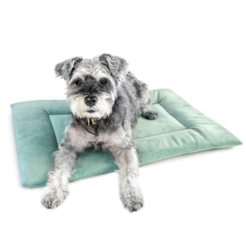 KindTail Hundekäfig-Pad, weicher Samt, wendbare Hundebett-Matte, maschinenwaschbar, Hundehüttenunterlage für Hunde und Katzen, Hundekäfig-Matratzenauflage für gemütliches Schlafen, klein, Hellgrün von KindTail