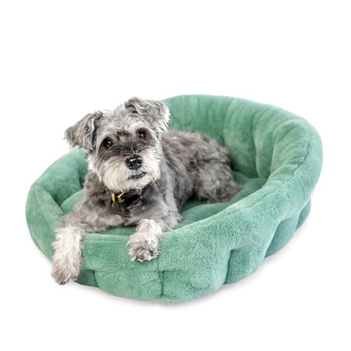 KindTail Kleines orthopädisches Hundebett, kuschelig, Kunstfell, Luxusbett, Haustierbett für Hunde und Katzen unter 6,8 kg, wasserdichtes Hundebett mit Nylonboden, bequemes Haustierbett, 50,8 x 35,6 x von KindTail