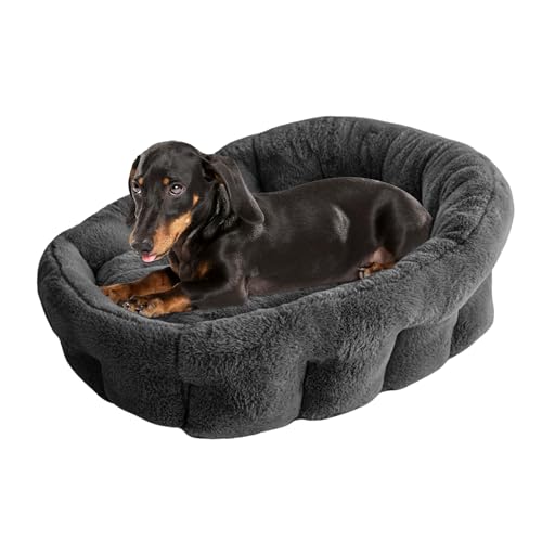 KindTail Mittelgroßes orthopädisches Hundebett, kuschelig, Kunstfell, Luxusbett, Haustierbett für Hunde und Katzen unter 11,3 kg, wasserdichtes Hundebett mit Nylonboden, bequemes Haustierbett, 63,5 x von KindTail