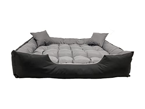 KingDog Ecco Hunde- und Katzenbett mit Kissen Wasserdichtes Nylon Hundekissen Hundekorb Haustierbett Waschbar Wasserdichtes Material (Innenmaße: 40x30 / Außenmaße: 55x45cm, Grau/schwarz) von KingDog