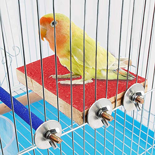 KingbeefLIU 2 Stücke Haustier Vogel Papagei Stehen Plattform Sitzstangen Pfote Schleifen Stabkäfig Kauen Spielzeug Haustierspielzeug Begleit Wachsende Kleintierspielzeug Übung Leistung Zufällige Farbe 2 Stück von KingbeefLIU