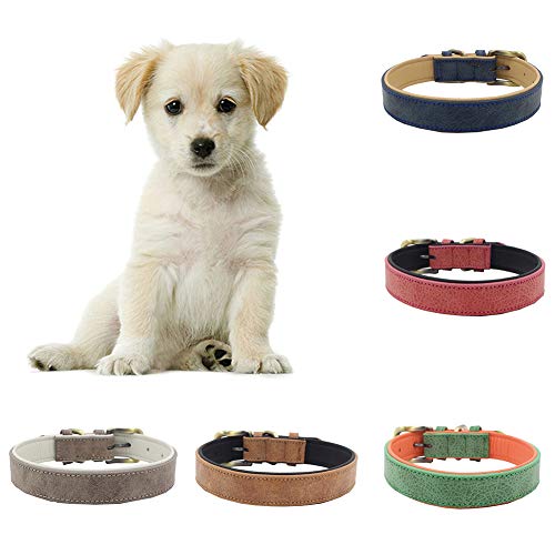 KingbeefLIU Haustier Hund Kätzchen Verstellbarer Kragen Weiche Schnalle Outdoor Training Sicherer Umhängeband Zierlich Und Niedlich Minimalistische Wind Identifikation Haustier Ring rot SNone von KingbeefLIU