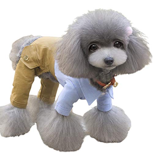 KingbeefLIU Hundekleidung Haustier Welpe Fliege Revers Shirt Geflochtene Hosenträger Strampler Polyester Hundekleidung Blau S. von KingbeefLIU