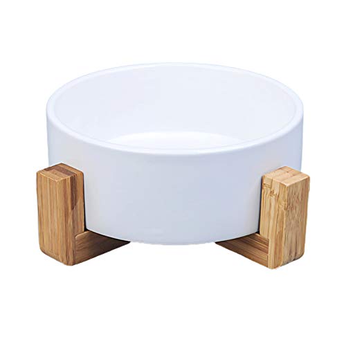 KingbeefLIU Pet Bowl 850ml Keramik Pet Bowl Katzenwelpen Fütterungsbedarf Hundefutter Wasserzufuhr Zubehör Weiß von KingbeefLIU