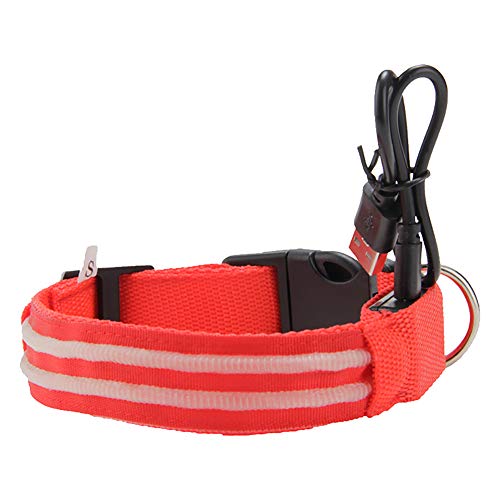 KingbeefLIU Pet Collar Adjustable USB Rechargeable Dual Fiber Shiny LED Pet Collar Cat Dog Neck Band Red S von KingbeefLIU