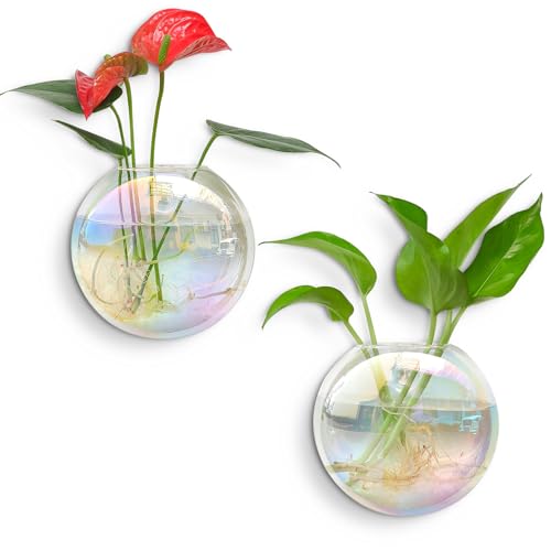 Kingbuy Wandbehang Glas-Pflanzgefäße Oblate Globus Anzuchtstation Wandmontierte Blumenvasen Perfekt für Luftpflanzen-Terrarien Heimdekoration Regenbogen 2 Stück von Kingbuy