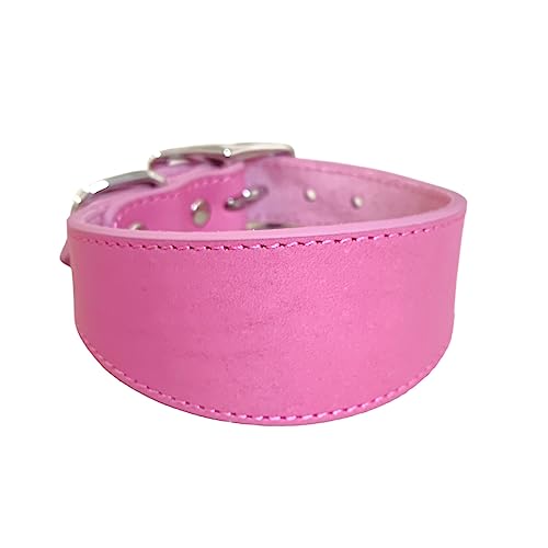 Kingke Leathers Dogs Collar Soft Padded Collar for Whippets Salukis Sighthounds Dogs Adjustable Collar Large Breeds Dogs Supply von Kingke