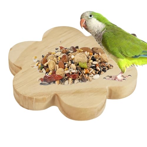 Kioriur Papageiung Barsch, Vogelstange für Käfig | Kleines Tierholz Barsch Stand | Vogelkäfigzubehör für Papageien Conure Budgie Lovebird Shotels Cockatiels von Kioriur