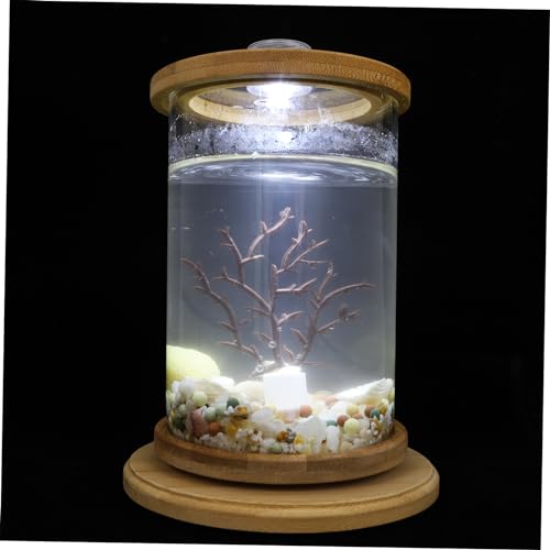 1 Satz Desktop Micro View Aquarium Terrarium Desktop-Aquarium bürodekorationen Dekoration Schlafzimmer Fish Bowl kunstpflanze Haushaltsfischaquarium Desktop-Versorgung Glas Brown Kisangel von Kisangel