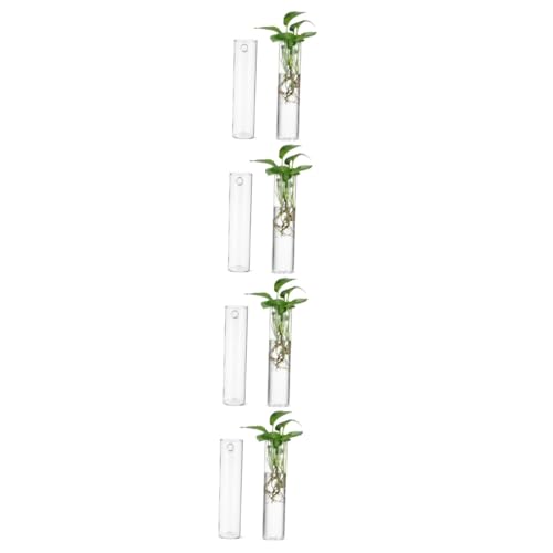 8 STK Wandvase Wandpflanzer Wandmontage Wandaufbewahrung Glaswaren Wandausbreitung Hängende Vermehrungsstationen blumenvase einmachgläser Pflanzentopf aus Glas hängendes Terrarium Kisangel von Kisangel