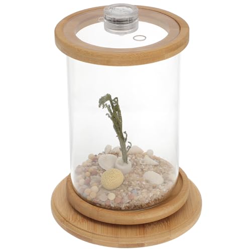 Kisangel 1 Satz Desktop Micro View Aquarium Mini-Bürobedarfsset hydroponische Pflanzen Terrarium bürodekorationen Night Light kunstpflanze dekoratives Aquarium Desktop-Versorgung Green von Kisangel