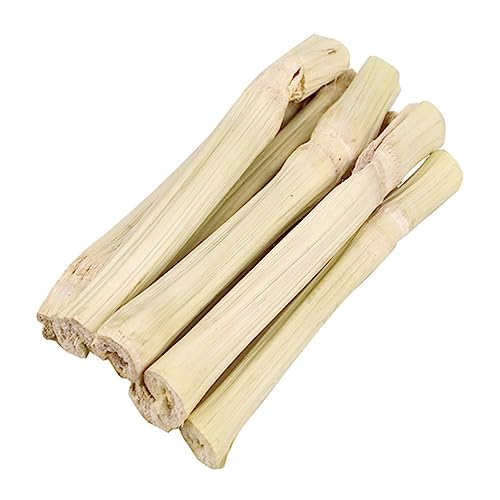 Kisangel 1 Satz Hamster-süßer Bambus Kaninchen-Snacks Rennmaus-backenzahn-Sticks Kauspielzeug Für Kaninchen Chinchilla Molar Stick Hasensnacks Haustierbedarf Beige Natürlicher Süßer Bambus von Kisangel