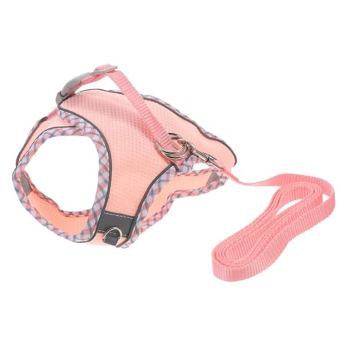 Kisangel Elegante Hundeleine Größe XXS Leichtes Haustier Für Hunde Geeignet Für Übungen Im Freien Kisangel Elegante Hundeleine Größe XXS Leichtes Haustier Für Hunde Geeignet Für Übungen Im Freien von Kisangel